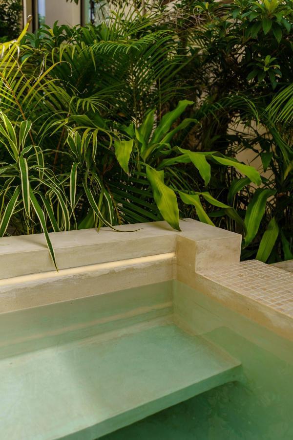 205 Perfect Location 3 Bedrooms Apartment Tulum Exteriör bild